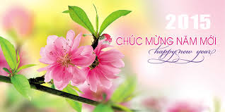 Bộ VHTTDL: Hướng dẫn tổ chức gặp mặt chúc Tết Nguyên đán Ất Mùi - 2015
