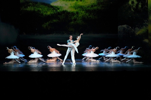 Vở ballet kinh điển “Hồ thiên nga” tới Việt Nam